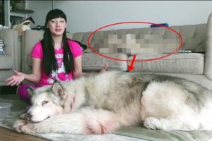 網美拍影片曬愛犬眼尖網友發現亮點大喊「快點救那隻狗！」被懷疑殺犬剝皮製皮草