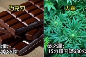 14種常見物質的「早一步上天堂份量」，狂灌咖啡不小心死.神就會找上門！