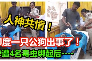 印度一隻公狗出事了！慘遭4名毒蟲綁起後硬上！傷重致死！