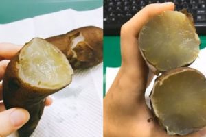 超噁！吃桌上地瓜「口感黏黏像蘿蔔」想丟…識貨網友秒巴頭：真相竟是稀世珍寶