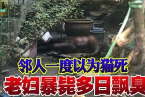鄰人一度以為貓死老婦暴斃多日飄臭