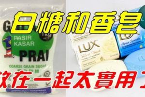 白糖和香皂放在一起太實用，解決了家家戶戶的問題，看完趕緊試試