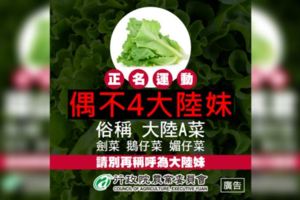 「大陸妹」不能叫大陸妹了？青菜名稱涉歧視...農委會推「正名」網傻眼：那高麗菜呢？
