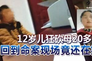 12歲兒狂砍母20多刀致命回到命案現場竟還在笑