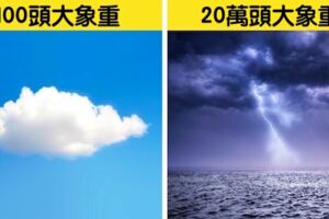 20個看過後「一生都不會忘」的奇妙冷知識　用拳頭記大小月這招超好用啊～