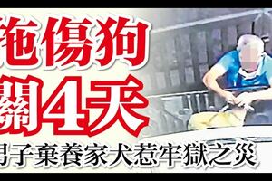 拖傷狗關4天！男子棄養家犬惹牢獄之災