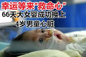 幸運等來「救命心」，66天大女嬰，成功換上4歲男童心髒！