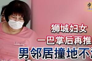 獅城婦女一巴掌後再推人男鄰居撞地不治