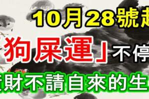 10月28號起「狗屎運」不停，橫財不請自來的生肖