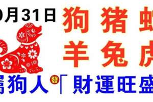 10月31日生肖運勢_狗、豬、蛇大吉