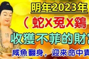 2023年迎來命中貴人，鹹魚翻身的生肖