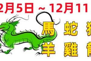 12生肖一周（12.5~12.11）