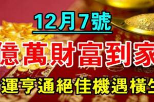 12月7號開始億萬財富到家，財運亨通機遇不可錯過的生肖