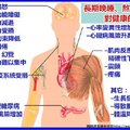 長期晚睡、熬夜，對健康不良的影響....