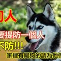 屬狗人：6月需要提防一個人，不可不防！別不信