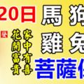 6月20日，生肖馬、狗、豬、雞、兔、虎！花開富貴，家有喜事！菩薩保佑！