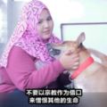 馬來女子分享與自養的狗情誼遭大馬伊斯蘭教發展局抨擊