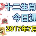 十二生肖運勢天天看，今日運勢：7月19日