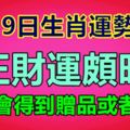 8月19日生肖運勢前三，正財運頗旺，有機會得到贈品或者大獎