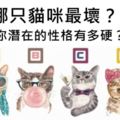 【性格測試】哪只貓咪最壞？測你潛在的性格有多硬？