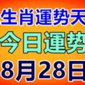 十二生肖運勢天天看，今日運勢：8月28日