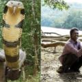 眼鏡蛇當寵物養，印度蛇王獲眼鏡王蛇友誼，堅持十幾年放生30000條蛇，蛇王竟然是這樣練成的！