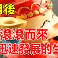 11月後，運勢達到巔峰，財運滾滾而來，事業迅速發展的生肖！