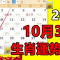 10月30號生肖運勢