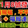 8號發財日，菩薩賜福，平平安安，福報連連，接住富貴一生的3生肖