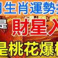 12月生肖運勢排行，看你是財星入命，還是桃花爆棚？