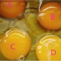 4個雞蛋你認為哪個才是土雞蛋？測出你生活中最缺什麼！