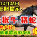 今天12月25日,每日旺財提示：馬兔猴牛，豬蛇羊雞。運勢大旺！錢財滾滾來留言92568必轉！