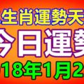 十二生肖運勢天天看，今日運勢：2018年1月29日