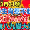 熬過3月21號，4生肖惹不起，財運高高在上，十有八九變大財主！