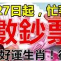 3月27日起，財富大增，忙著數鈔票的生肖！