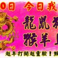 3月30日，今日我最旺！龍鼠狗豬猴羊馬蛇！【22688】越早打開越靈驗！點個贊吧！