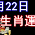 4月22日生肖運勢