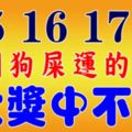 6月15、16、17號，這八大生肖踩到狗屎運，橫財大發，大獎中不停