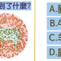 【色弱測試】你看到什麼？分析你人格！