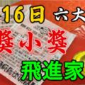 7月16日，大獎小獎飛進家門的6個生肖。