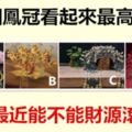 哪個鳳冠看起來最高貴？測你最近能不能財源滾滾？