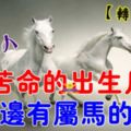 屬馬的人：「最苦命」的出生月份，你身邊有屬馬的人嗎？