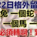 注意明天！8月22日要格外留心了，一個兔，一個蛇，一個馬，一個虎！