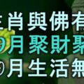 5生肖與佛有緣，小人不敢靠近，9月聚財聚富，10月生活無憂！