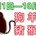 12生肖一周運勢（10月1日—10月7日）