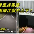 老虎摸黑過馬路嚇壞度假村上下！快看視頻！