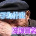 老爺子為什麼沒跟回老家去？