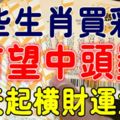 10月31日這些生肖偏財運最旺，買彩票也會中頭獎