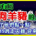 2019年誰最發達？家有這4個屬相，2019年馬上有錢！