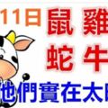 12月11日生肖運勢_鼠、雞、猴大吉